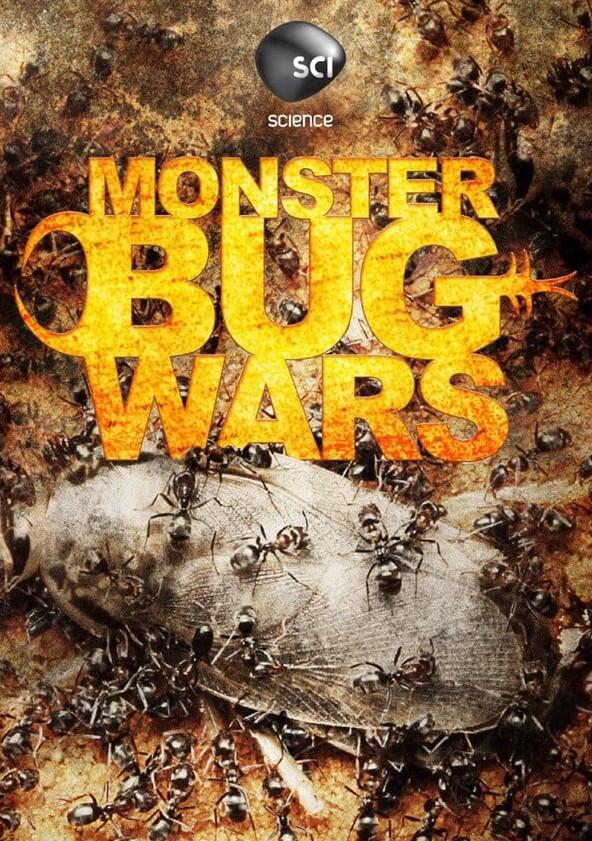 Monster Bug Wars - Season 2