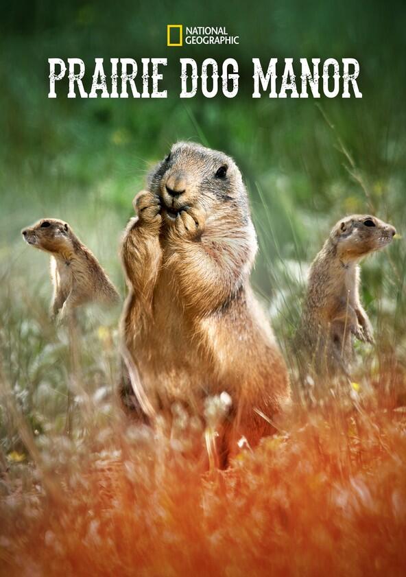 Prairie Dog Manor - Season 1