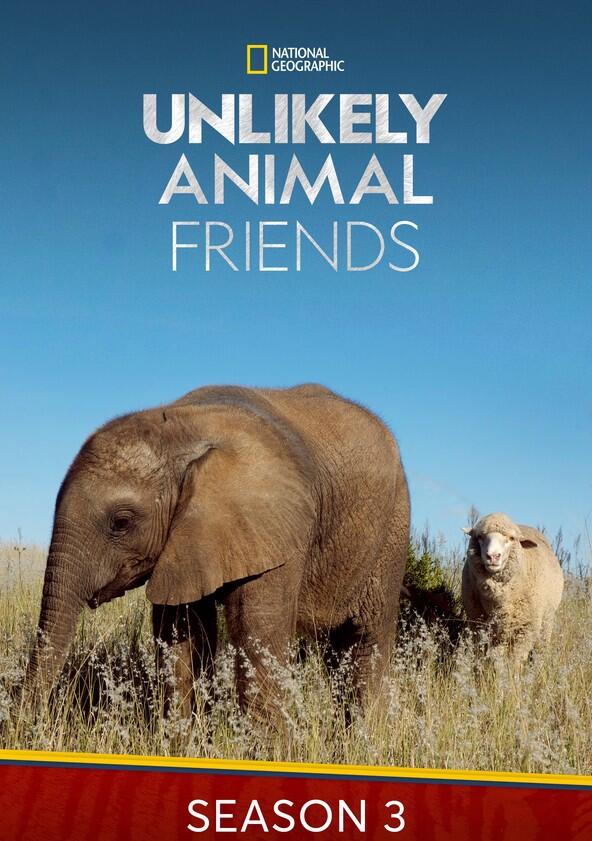 Unlikely Animal Friends - Season 3