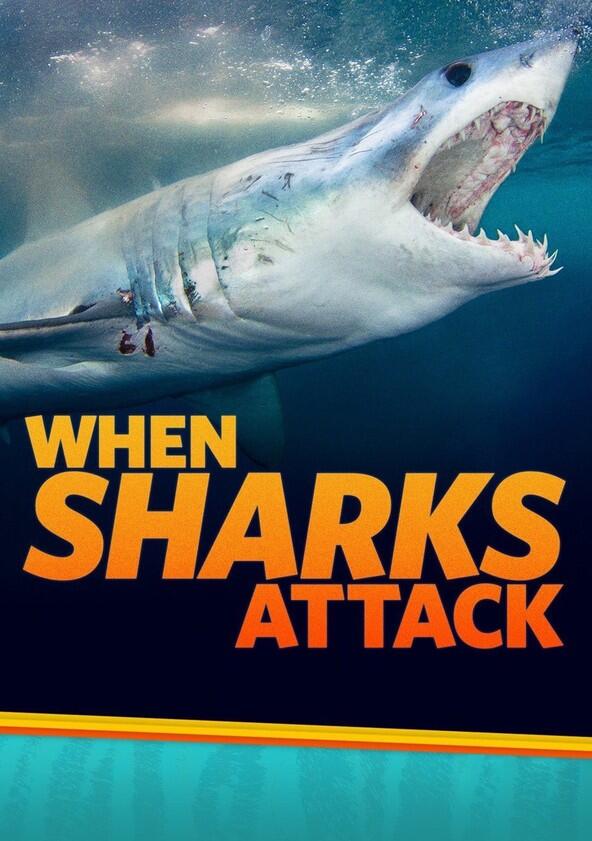 When Sharks Attack - Season 4