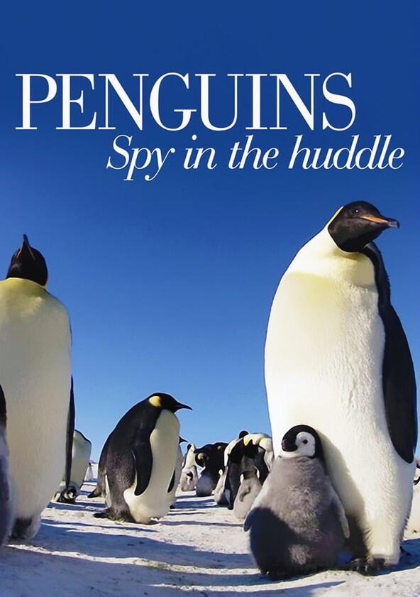 Penguins: Spy in the Huddle - Season 1