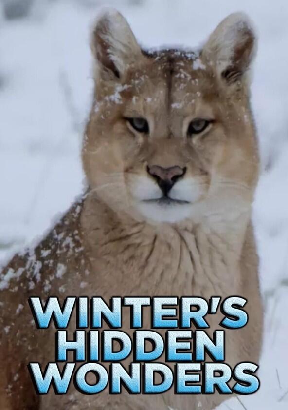 Winter's Hidden Wonders - Season 1