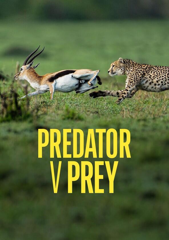 Predator vs Prey - Season 1