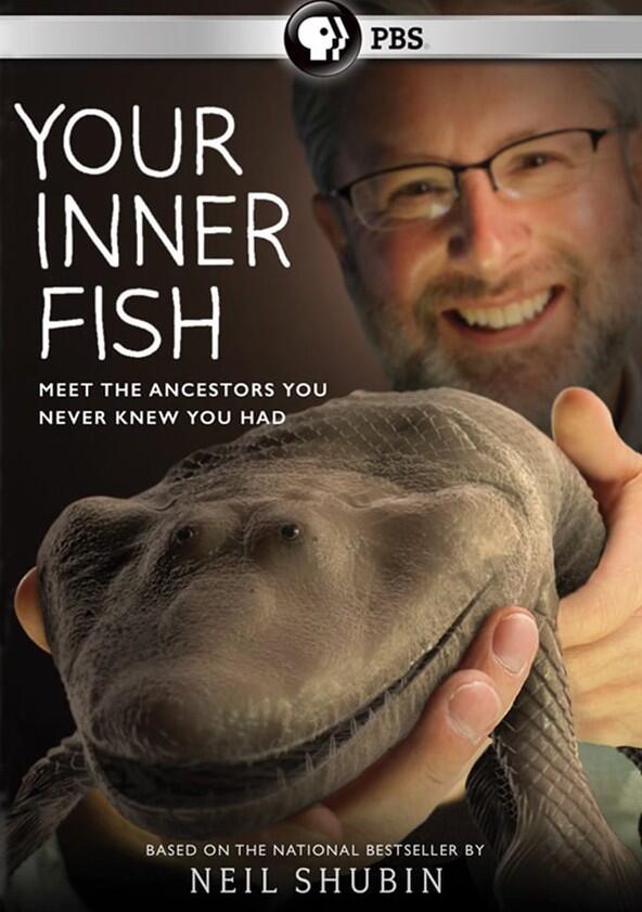 Your Inner Fish - Season 1