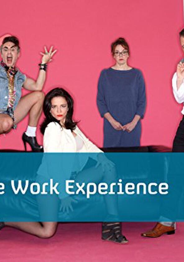 The Work Experience - Season 1