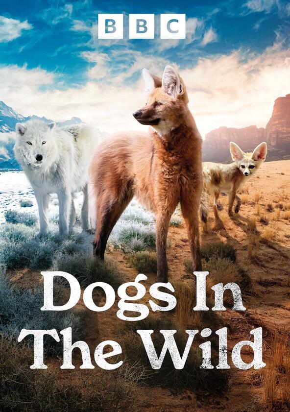 Dogs in the Wild, A Nature Miniseries - Season 1