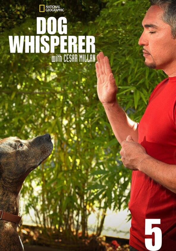 The Dog Whisperer - Season 5