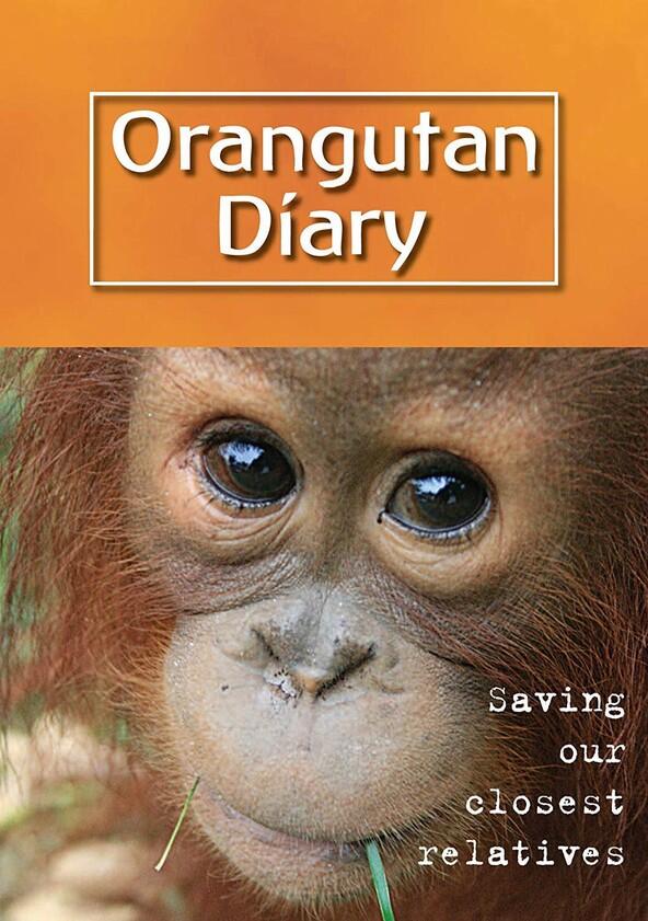 Orangutan Diary - Season 1