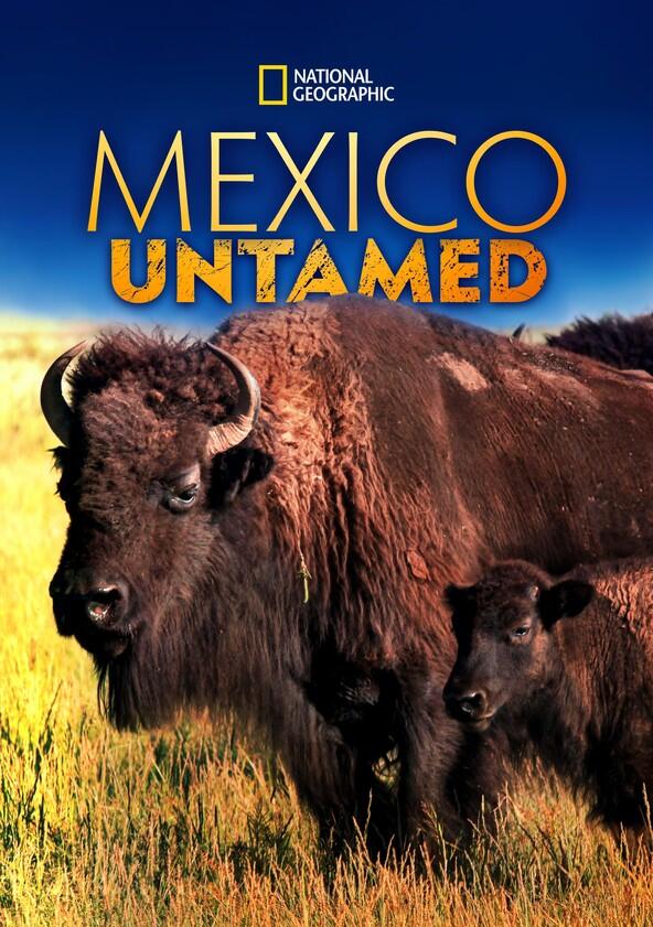 Mexico Untamed - Season 1