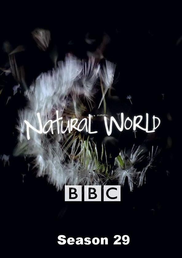 Natural World - Season 29