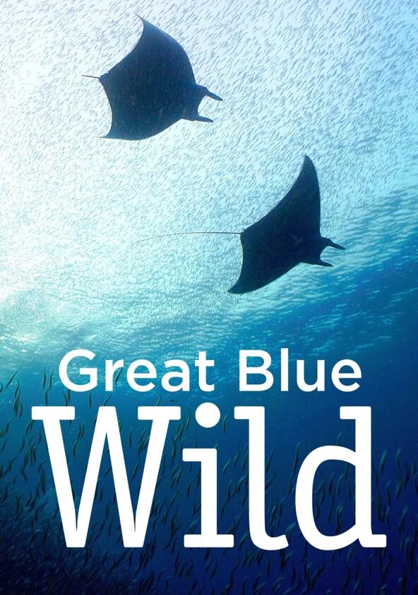 Great Blue Wild - Season 2