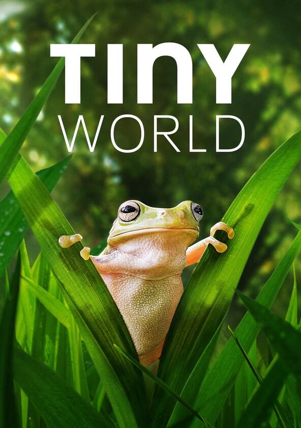 Tiny World - Season 2