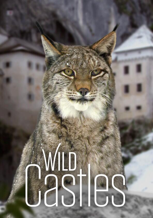 Wild Castles - Season 1