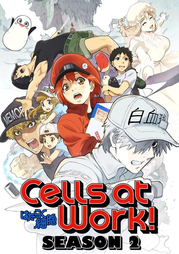 Cells at Work! - Season 2