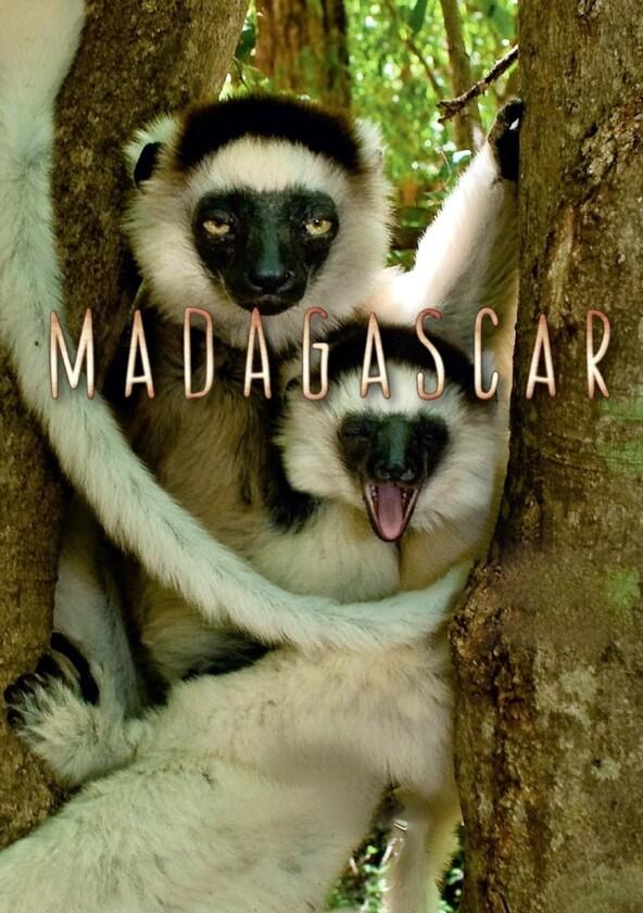 Madagascar - Season 1