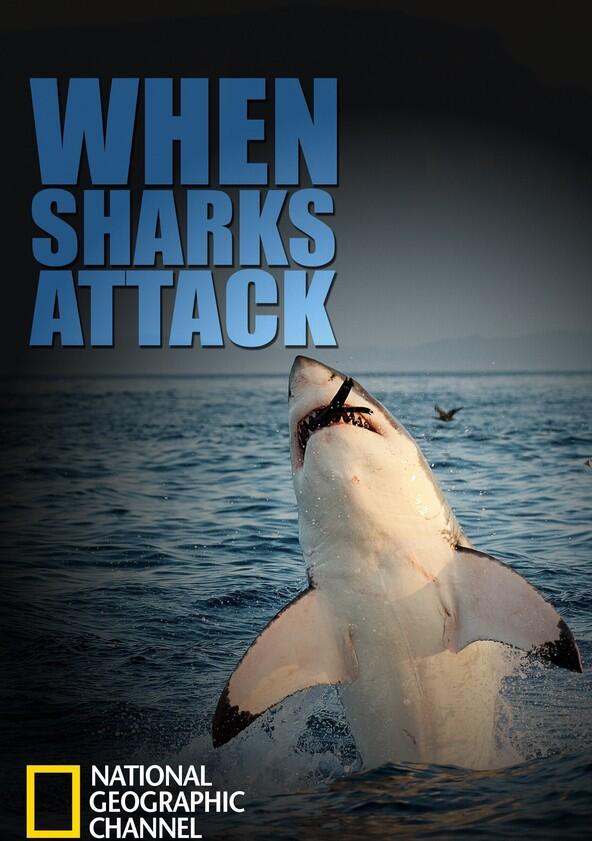 When Sharks Attack - Season 1