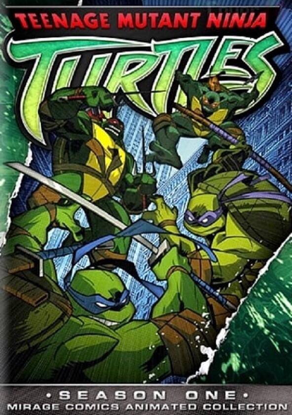 Teenage Mutant Ninja Turtles - Season 1