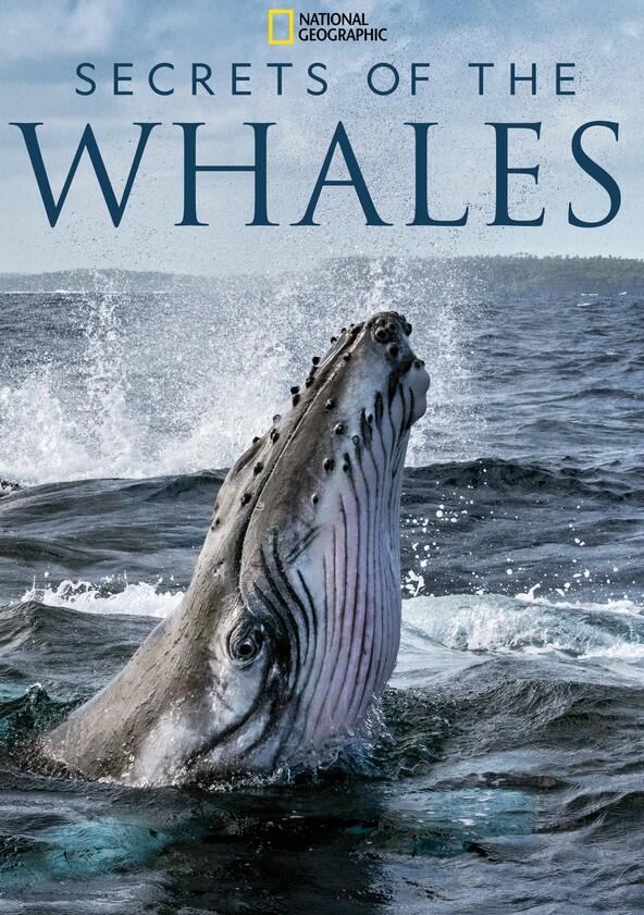 Secrets of the Whales - Season 1