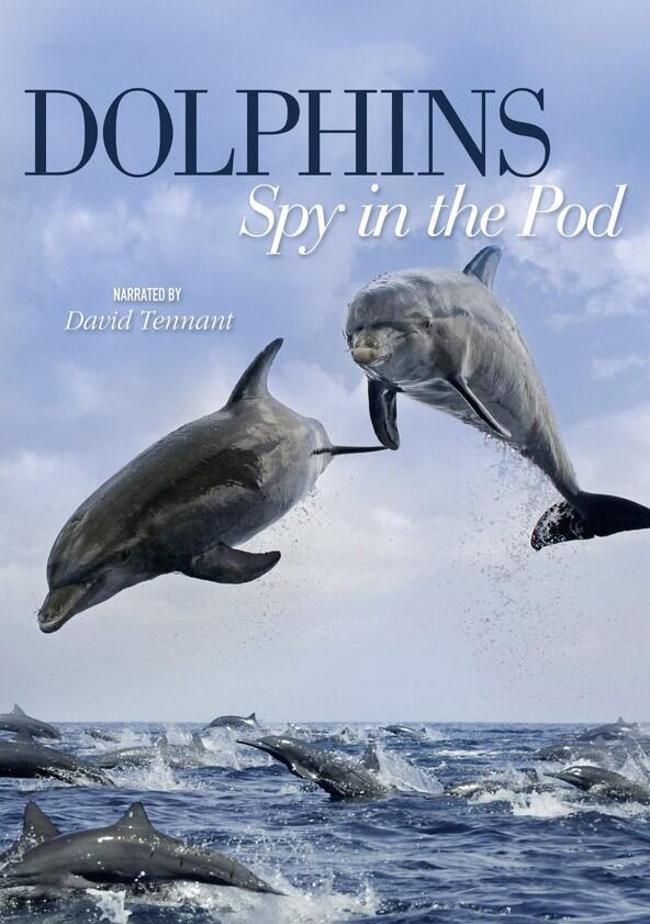 Dolphins: Spy in the Pod - Season 1