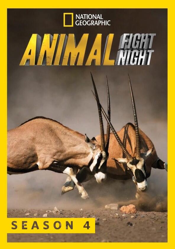 Animal Fight Night - Season 4