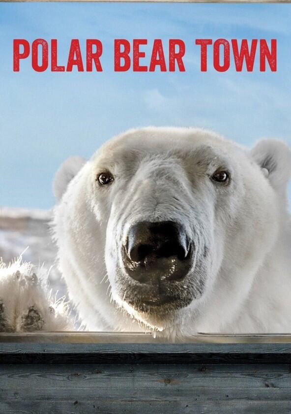 Polar Bear Town - Season 1