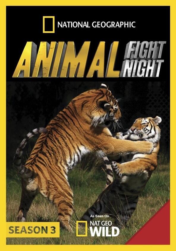 Animal Fight Night - Season 3