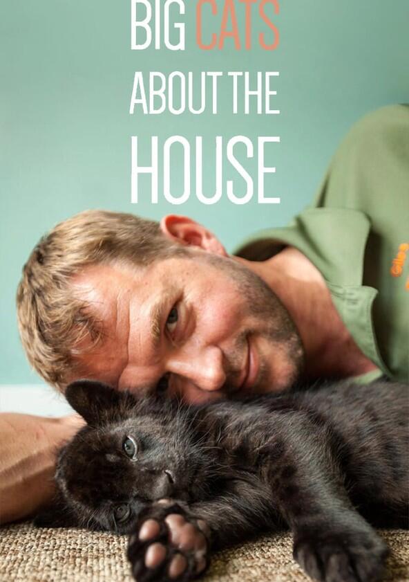 Big Cats About the House - Season 1