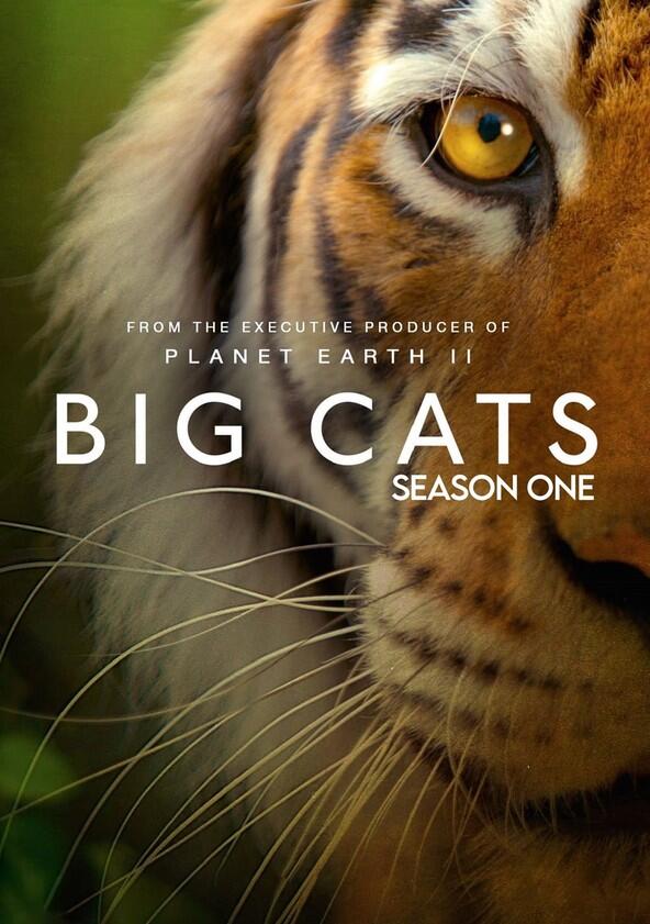 Big Cats - Season 1