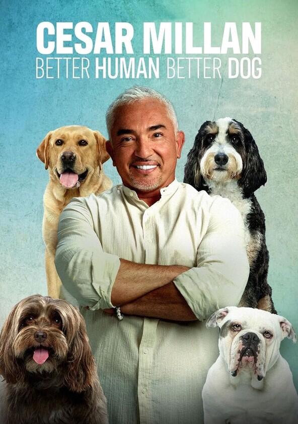 Cesar Millan: Better Human Better Dog - Season 5