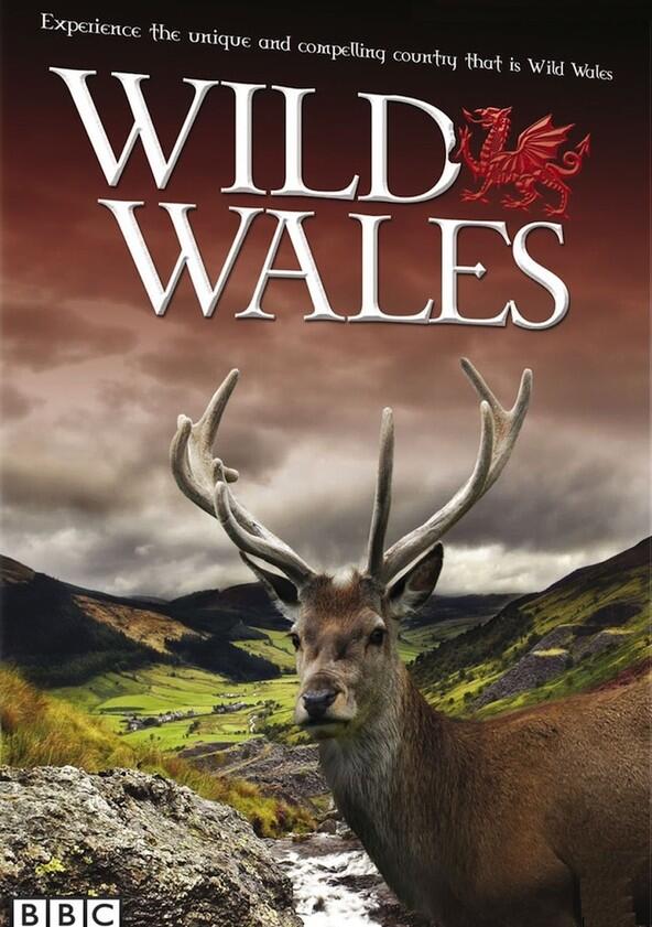 Wild Wales - Season 1