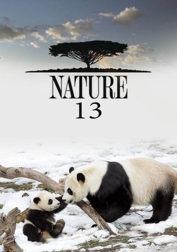 Nature - Season 13