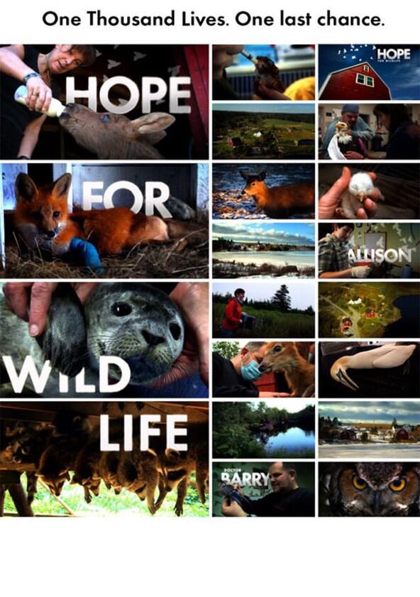 Hope for Wildlife - Season 8