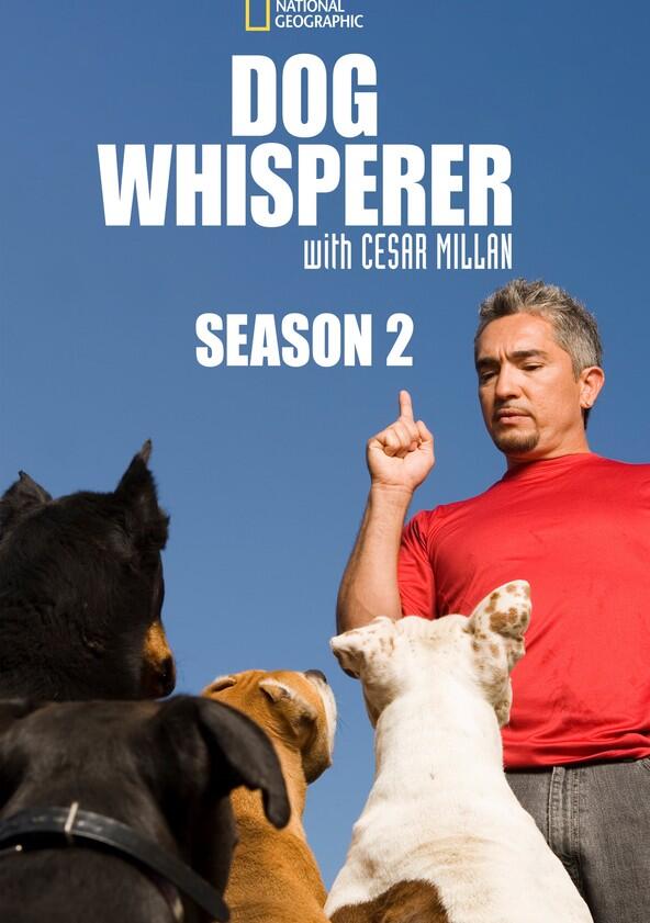 The Dog Whisperer - Season 2