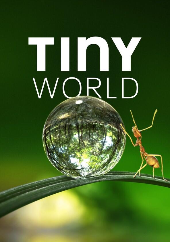 Tiny World - Season 1