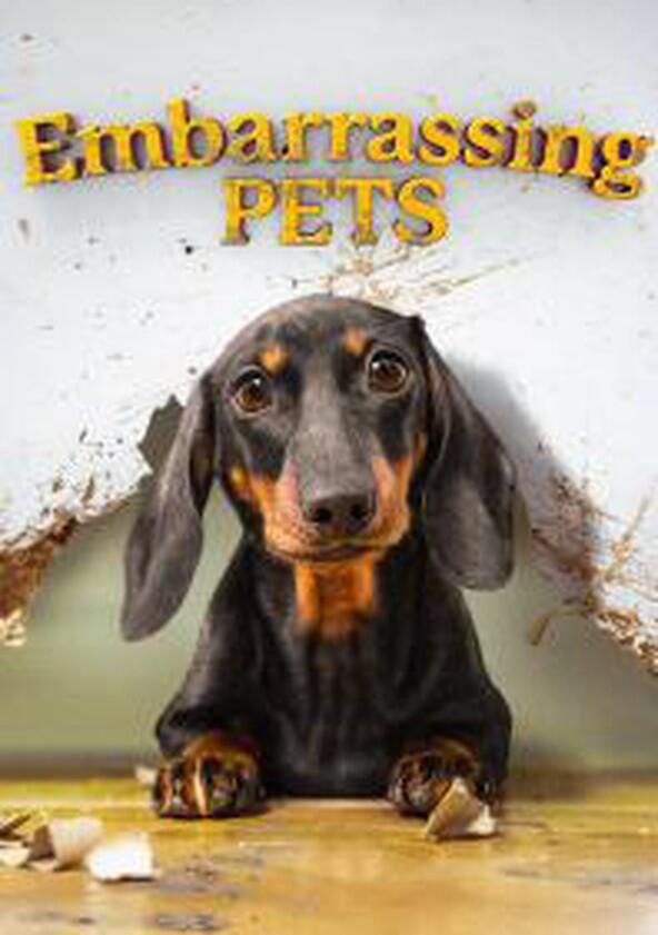 Embarrassing Pets - Season 1