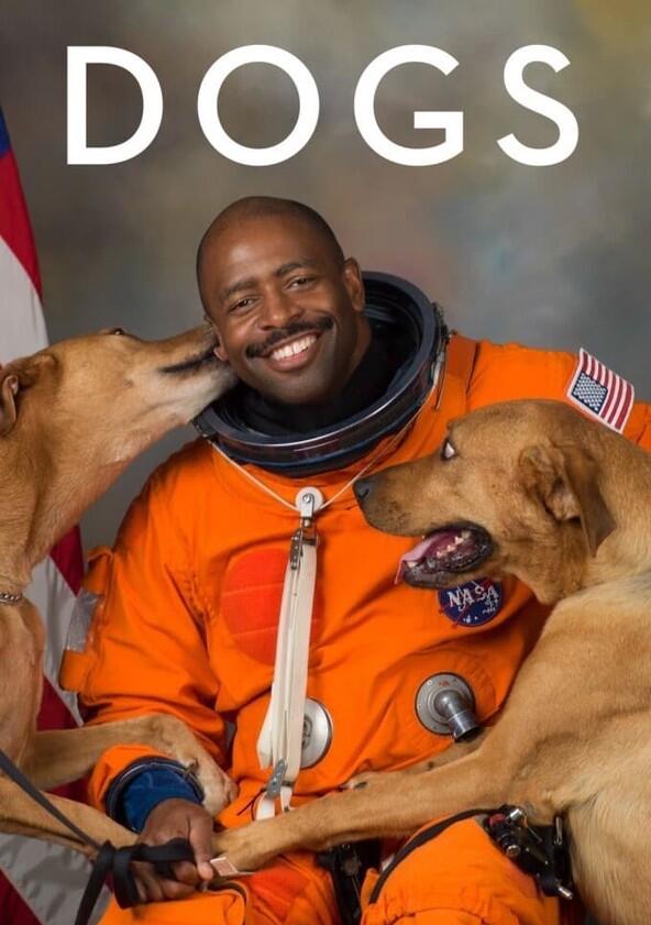 Dogs - Season 2