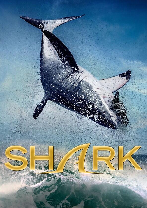 Shark - Season 1