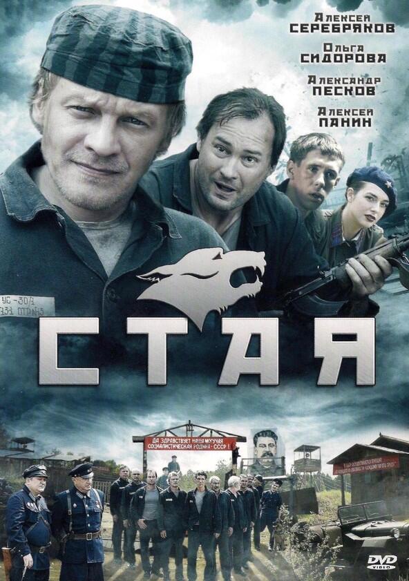 Стая - Season 1