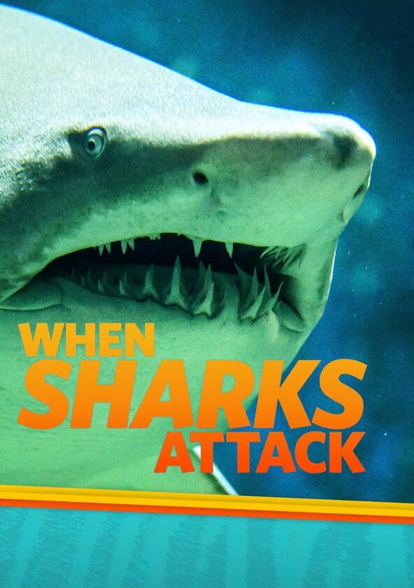 When Sharks Attack - Season 3