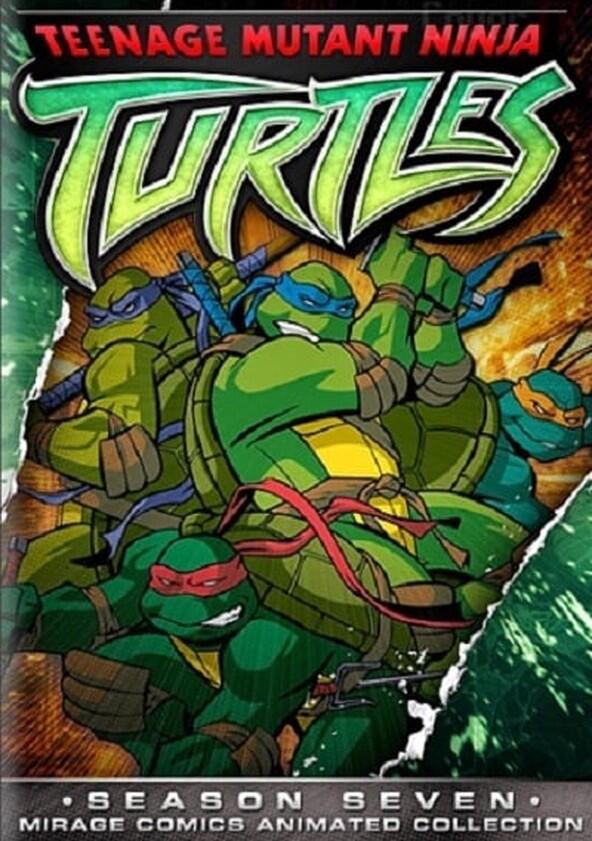 Teenage Mutant Ninja Turtles - Season 7