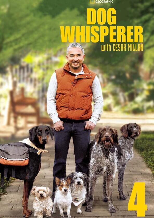 The Dog Whisperer - Season 4