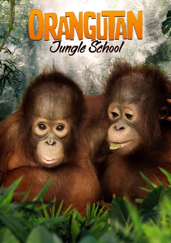 Orangutan Jungle School - Season 1