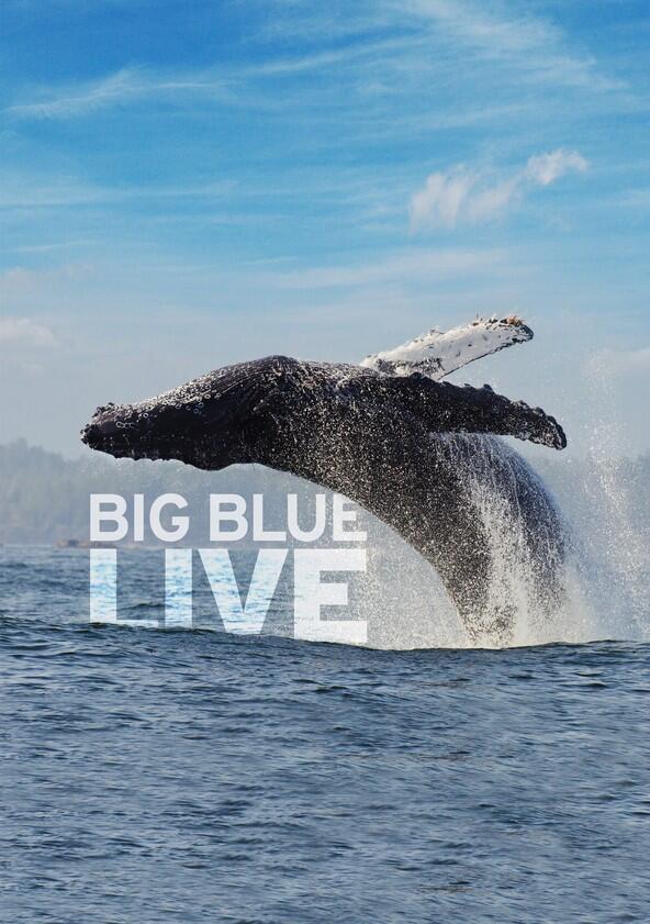 Big Blue Live - Season 1