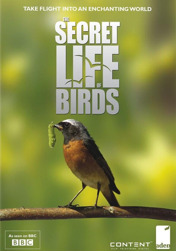 Iolo's Secret Life of Birds - Season 1