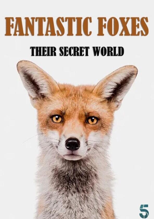 Fantastic Foxes: Their Secret World - Season 1