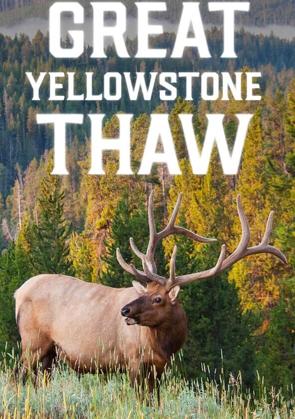 Great Yellowstone Thaw - Season 1