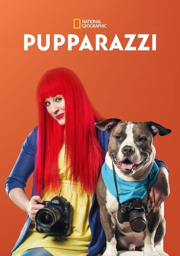 Pupparazzi - Season 1