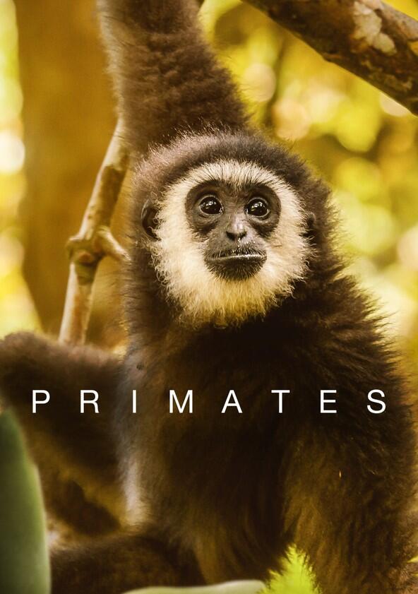 Primates - Season 1