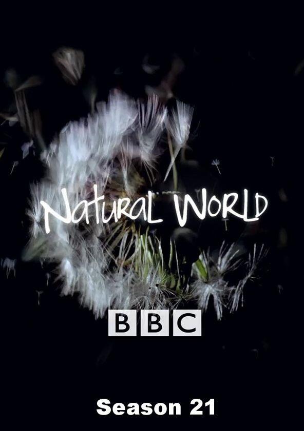 Natural World - Season 21