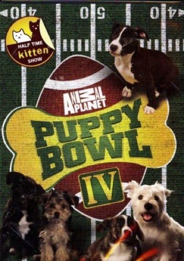 Puppy Bowl - Season 3 / Year 2006